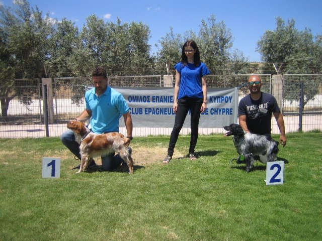 15th national breed show